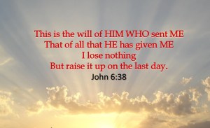 The Will of HIM WHO sent ME