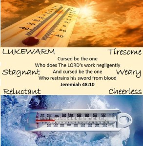 Cursed be the one who does The LORD's work negligently 2