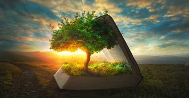 A tree and garden grow out of the pages of the Bible
