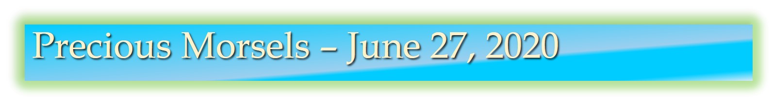 Precious Morsels 2 June 27, 2020