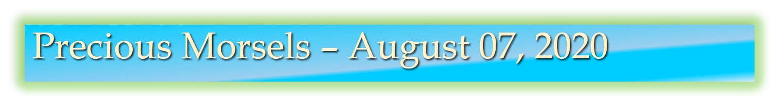 Precious Morsels August 07, 2020